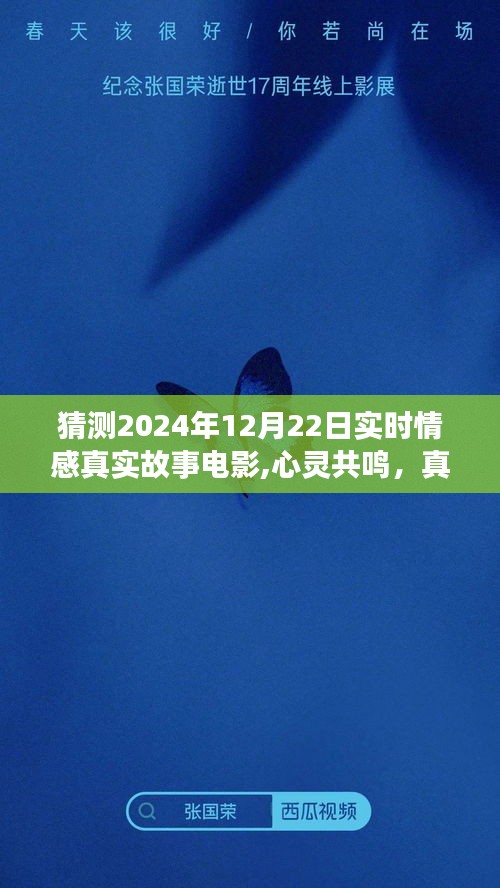 2024年12月22日实时情感真实故事电影深度解析与心灵共鸣