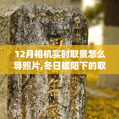 冬日暖阳下的相机实时取景，导照片方法与家的温馨时光记录