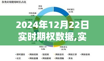 2024年12月22日实时期权数据深度解析与应用指南