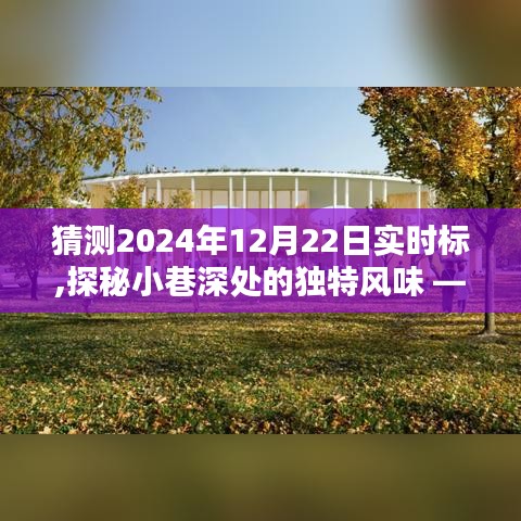 探秘时光巷弄，2024年12月22日实时标下的独特风味小店揭秘