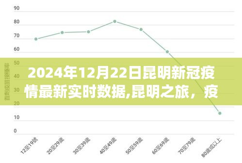 2024年12月 第2页