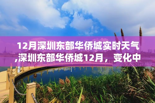 深圳东部华侨城12月实时天气与变化中的学习之旅，自信与成就感的阳光照耀