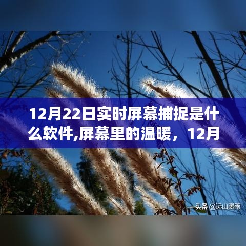 捕捉时光的软件故事，屏幕温暖背后的秘密