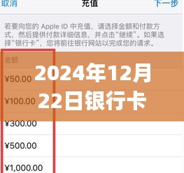 2024年12月25日 第8页