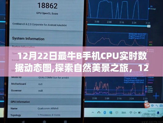 12月22日手机CPU实时数据动态图，探索自然美景，领略宁静之美之旅