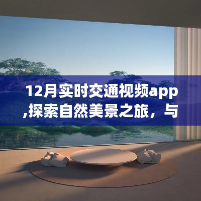 12月实时交通视频app，探索自然美景，寻找内心宁静与乐趣之旅