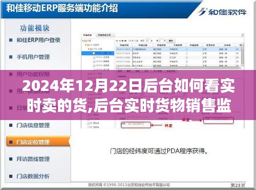 后台实时货物销售监控体系详解，以2024年12月22日为例的销售数据评测与实时货物销售监控解析