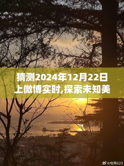 探索未知美景，寻找内心宁静，2024年微博实时自然之旅猜想揭秘