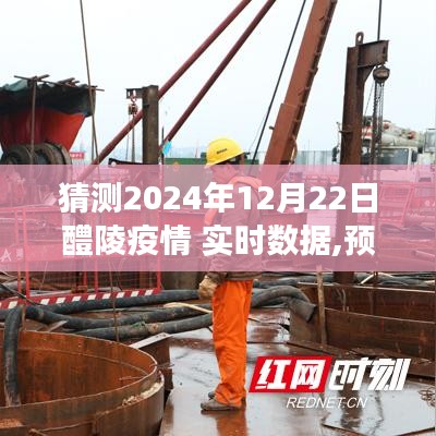 2024年12月22日醴陵疫情展望，实时数据预测与深度洞察