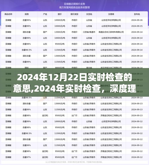 2024年实时检查深度解读，动态监控的意义、价值及实时检查趋势分析