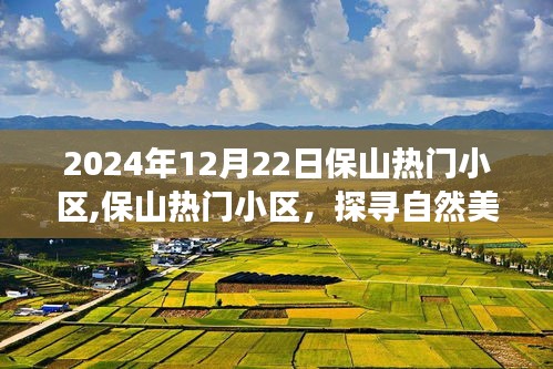 探寻保山热门小区的自然美景之旅，心灵宁静的港湾（2024年12月22日）