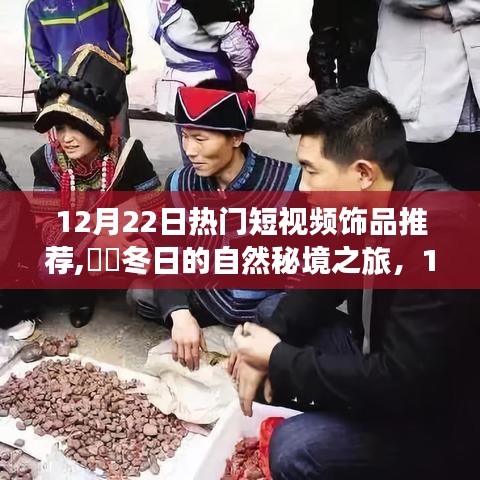 12月22日热门饰品推荐，冬日的自然秘境之旅，探寻内心宁静与平和的饰品