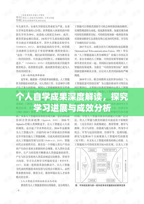 个人自学成果深度解读，探究学习进展与成效分析