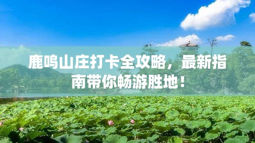鹿鸣山庄打卡全攻略，最新指南带你畅游胜地！