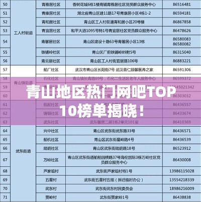 青山地区热门网吧TOP10榜单揭晓！