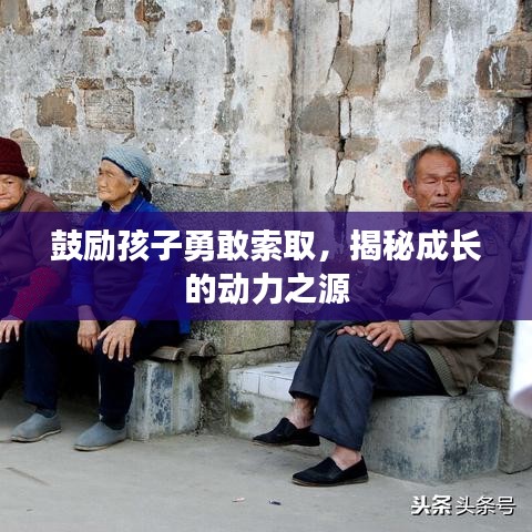 鼓励孩子勇敢索取，揭秘成长的动力之源