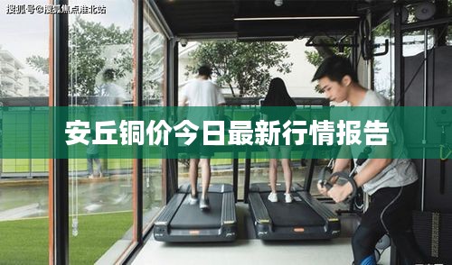 安丘铜价今日最新行情报告
