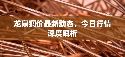 龙泉铜价最新动态，今日行情深度解析