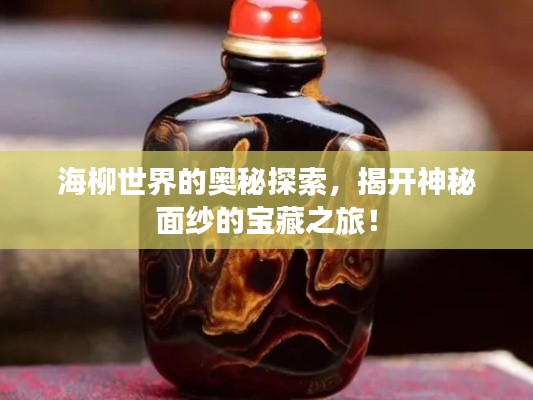 海柳世界的奥秘探索，揭开神秘面纱的宝藏之旅！