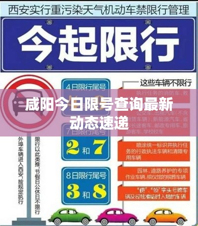 咸阳今日限号查询最新动态速递