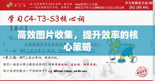 高效图片收集，提升效率的核心策略