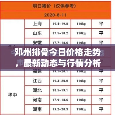 邓州排骨今日价格走势，最新动态与行情分析
