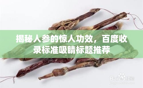 揭秘人参的惊人功效，百度收录标准吸睛标题推荐