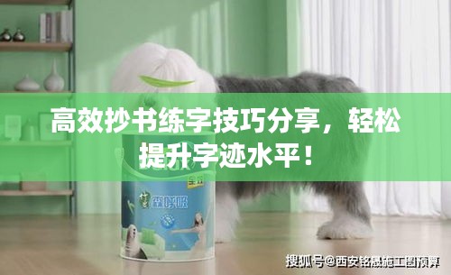 高效抄书练字技巧分享，轻松提升字迹水平！