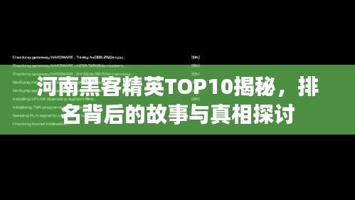 河南黑客精英TOP10揭秘，排名背后的故事与真相探讨