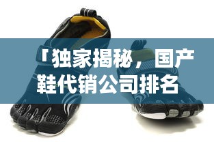 「独家揭秘，国产鞋代销公司排名，行业领军者的力量不容小觑」