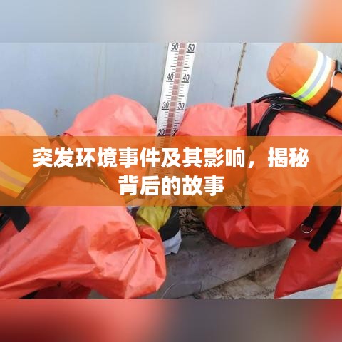 德才兼备