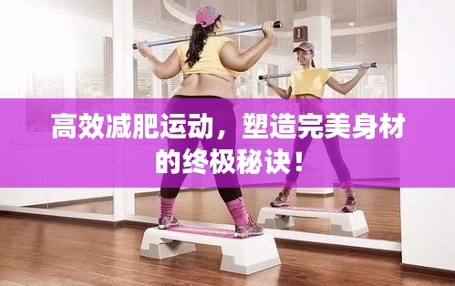 布衣蔬食