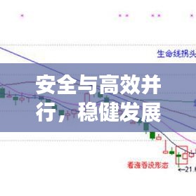 飞来飞去