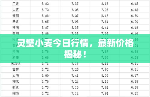 灵璧小麦今日行情，最新价格揭秘！