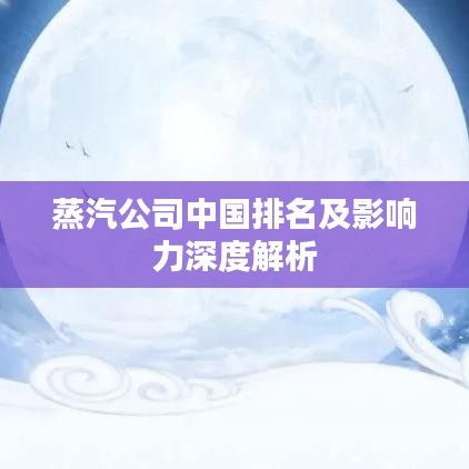 蒸汽公司中国排名及影响力深度解析