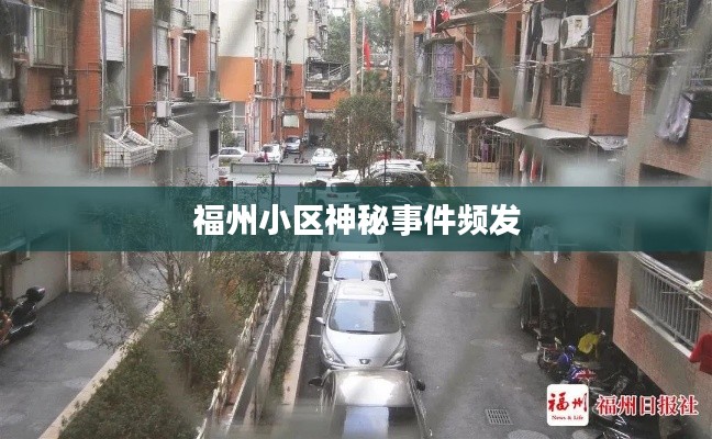 凤凰于飞
