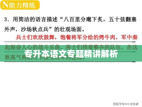 专升本语文专题精讲解析