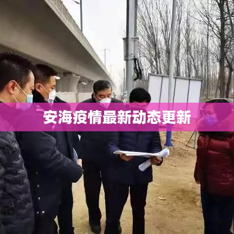 安海疫情最新动态更新