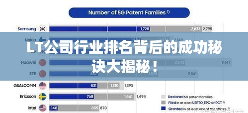 LT公司行业排名背后的成功秘诀大揭秘！