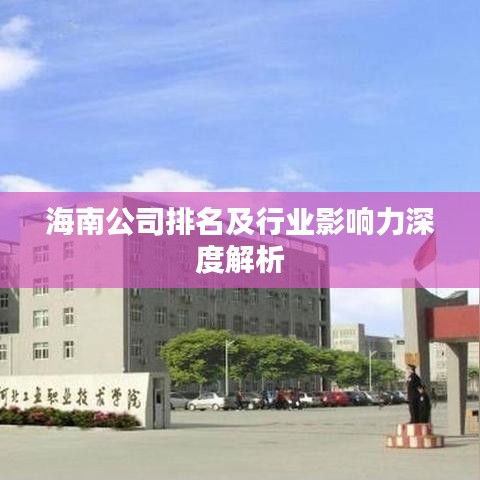 海南公司排名及行业影响力深度解析